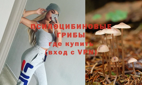 дмт Алексеевка