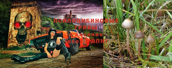 дмт Алексеевка